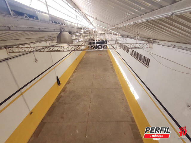 Galpão para Locação em São Paulo - 4