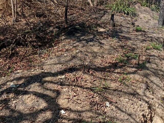 #5747 - Área para Venda em Santana de Parnaíba - SP - 1