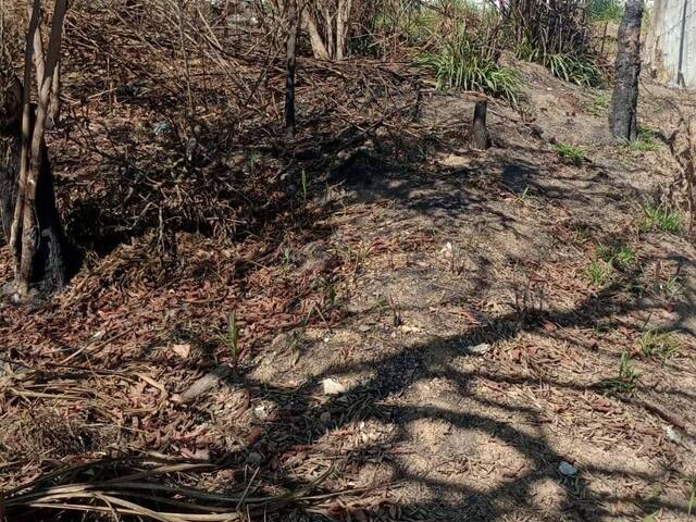 #5747 - Área para Venda em Santana de Parnaíba - SP - 3