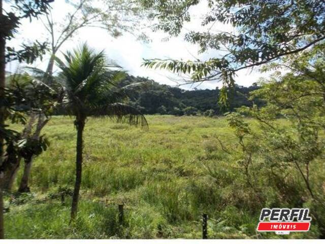 #5916 - Sítio para Venda em Juquiá - SP - 2
