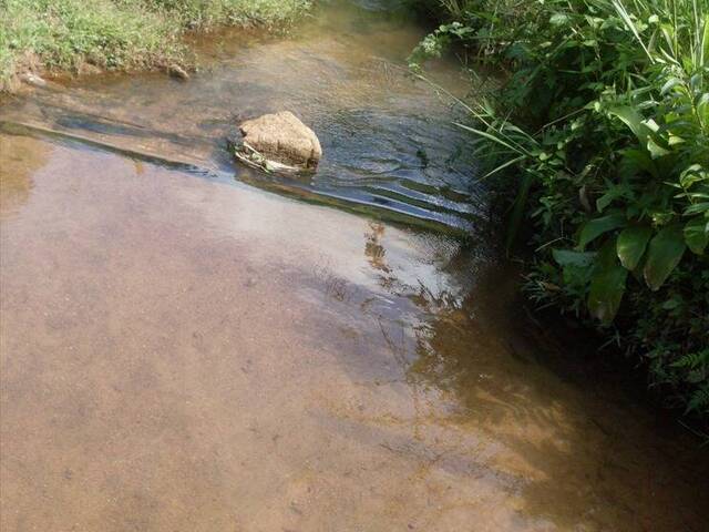 #5917 - Sítio para Venda em Juquiá - SP - 3