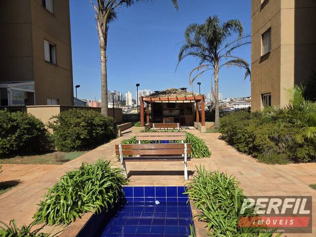 Apartamento para Locação em Osasco - 4