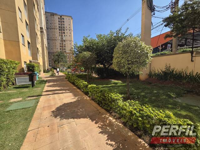 Apartamento para Locação em Osasco - 3