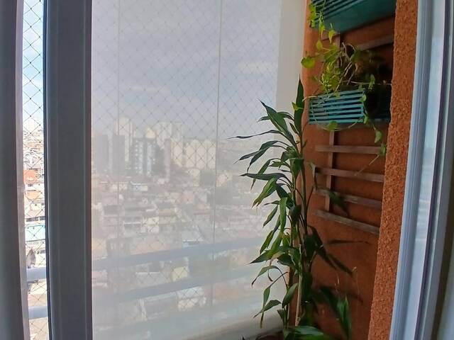 Apartamento para Venda em Osasco - 2
