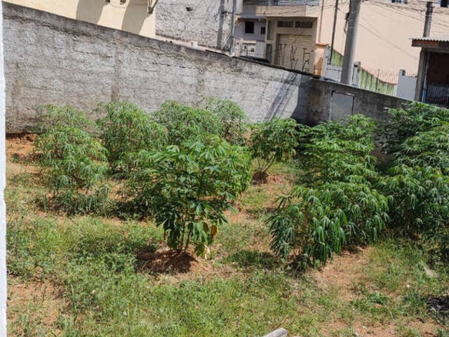 #2286 - Terreno para Venda em Osasco - SP - 3