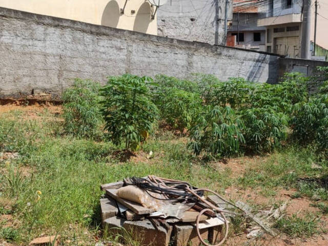 Terreno para Venda em Osasco - 5